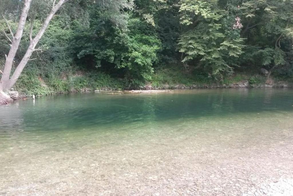 Appart Dans Maison 2 Km De La Plage Villeneuve-Loubet Exteriör bild